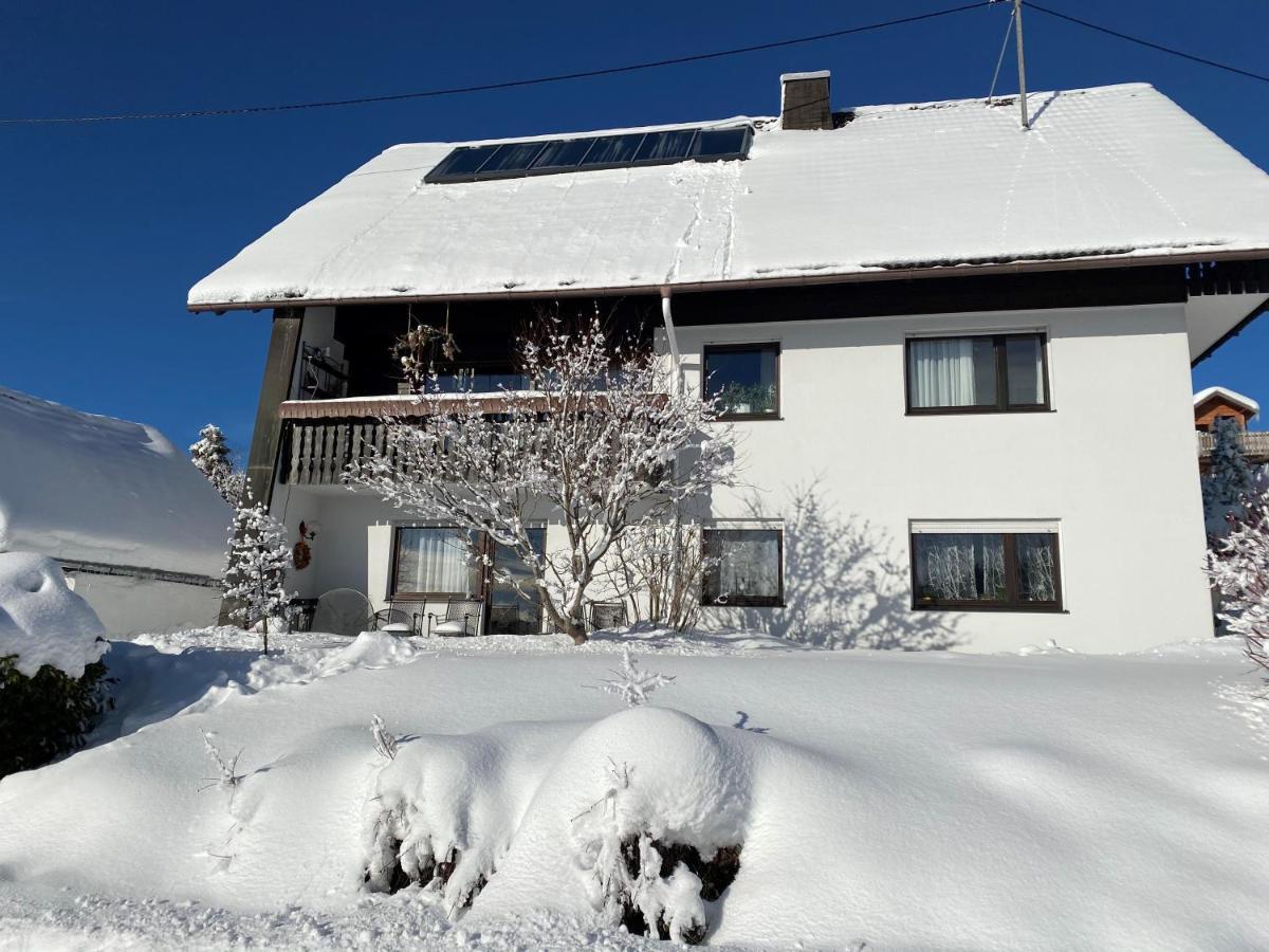 Haus Janssen-Wehrle Apartment Titisee-Neustadt Luaran gambar