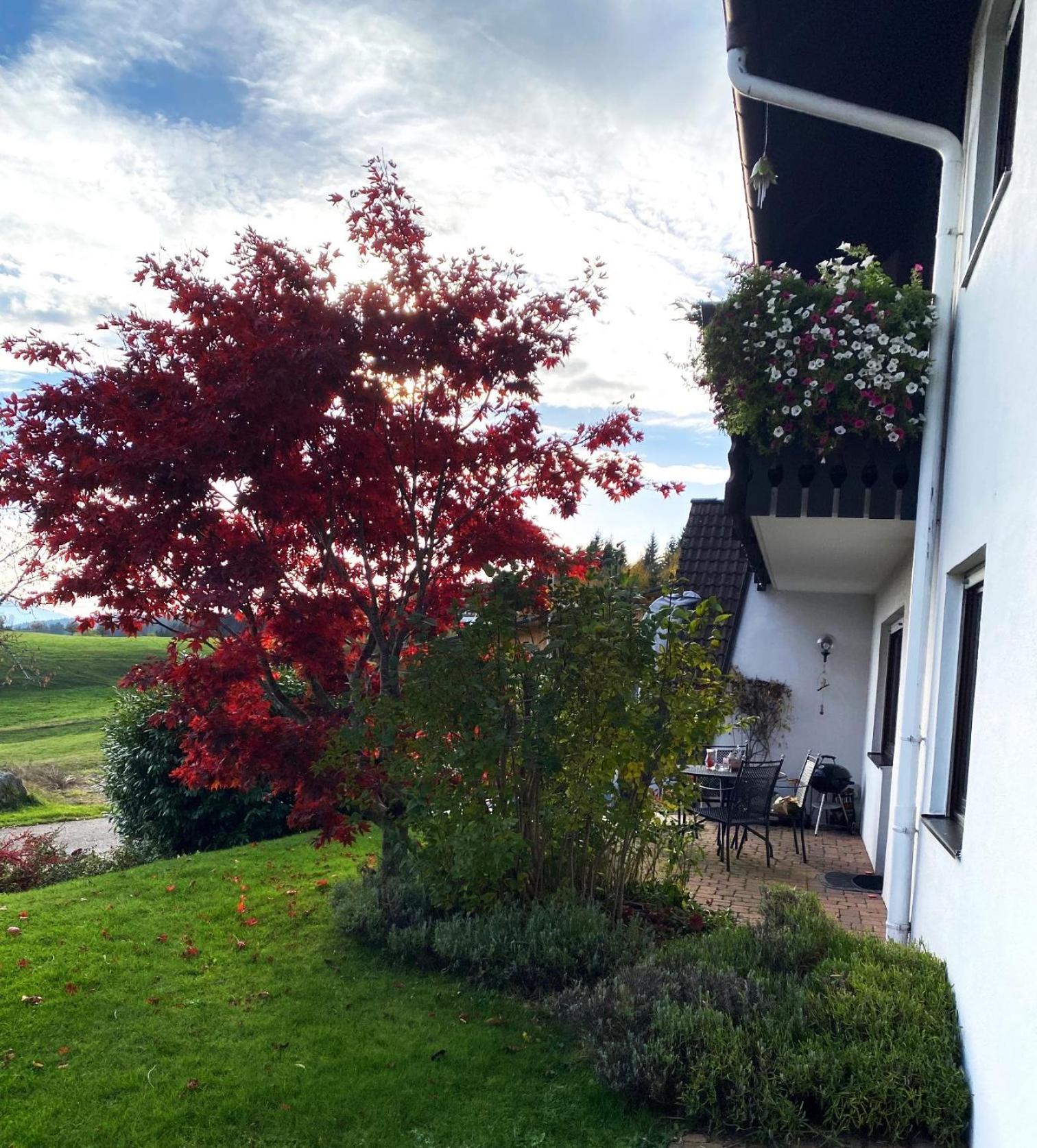 Haus Janssen-Wehrle Apartment Titisee-Neustadt Luaran gambar